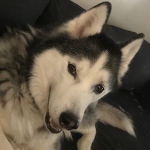 Meet your Posher, Kate